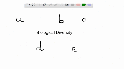 refer-to-the-terms-below-a-prokaryotes-b-fungi-c-plants-d-animals-e-protista-the-archaea-domain-incl