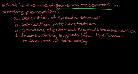 what-is-the-role-of-sensory-receptors-in-sensory-perception-a-detection-of-specific-stimuli-b-sensat