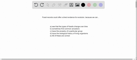 the-fossil-record-offers-direct-evidence-for-evolution-because-you-can-a-see-that-the-types-of-fos-4