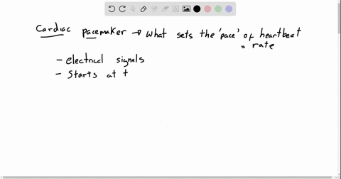 the-cardiac-pacemaker-___________-a-sets-the-normal-rate-of-heartbeat-b-is-the-same-as-the-av-node-c