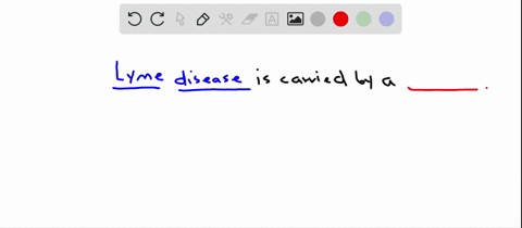 the-vector-for-lyme-disease-is-an-___-a-spirochete-b-archaean-c-tick