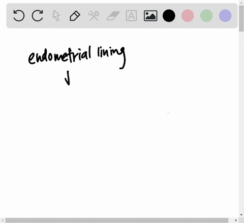 which-of-the-following-is-a-true-statement-a-all-mammals-have-menstrual-cycles-b-the-endometrial-lin