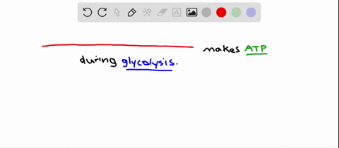 during-glycolysis-atp-is-produced-by-a-oxidative-phosphorylation-b-substrate-level-phosphorylation-2