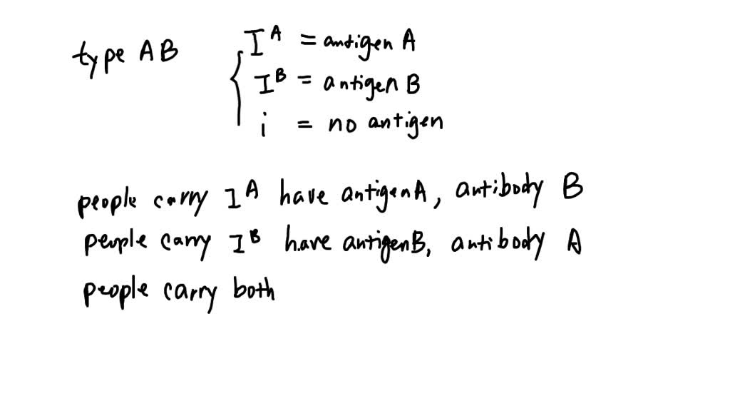 SOLVED Which blood type is considered the universal recipient? Why can people with this blood