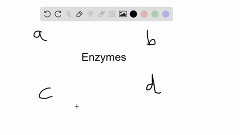 enzymes-_____-a-are-proteins-except-for-a-few-rnas-b-lower-the-activation-energy-of-a-reaction-c-are