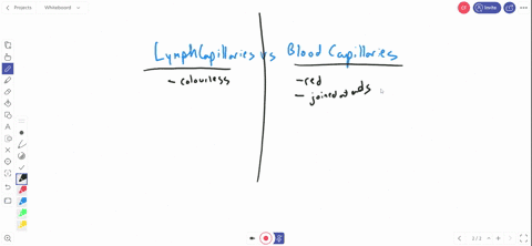 how-do-lymphatic-vessels-and-capillaries-differ-from-other-vessels-and-capillaries-in-the-circulator