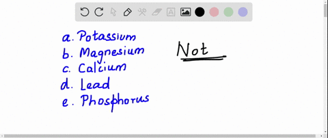 which-of-the-following-is-not-an-essential-mineral-element-for-plants-a-potassium-b-magnesium-c-ca-3