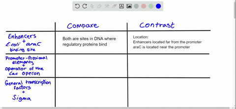 compare-and-contrast-a-enhancers-and-the-e-coli-arac-binding-site-see-chapter-18-b-promoter-proximal