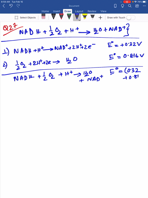 electron-transfer-in-the-mitochondrial-respiratory-chain-may-be-represented-by-the-net-reaction-equa