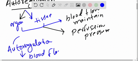autoregulation-of-blood-flow-to-a-tissue-is-due-to-a-sympathetic-innervation-b-the-release-of-vasopr