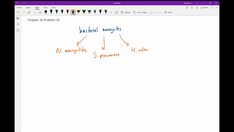 the-most-common-causes-of-bacterial-meningitis-can-be-the-result-of-infection-by-three-very-differen