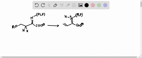 the-amino-acid-methionine-is-biosynthesized-by-a-multistep-route-that-includes-reaction-of-an-imine-