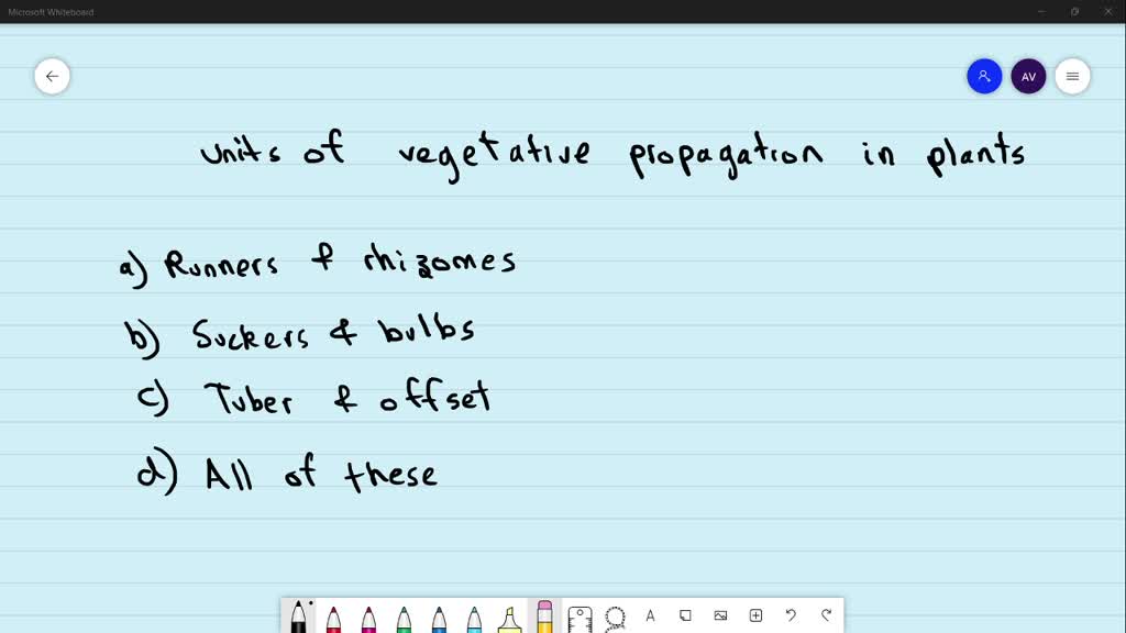 SOLVEDDistinguish among corms, bulbs, and tubers.