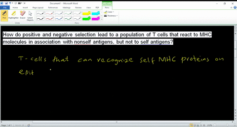 how-do-positive-and-negative-selection-lead-to-a-population-of-t-cells-that-react-to-mhc-molecules-i