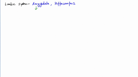 limbic-system-consists-of-a-amygdala-b-hippocampus-c-both-a-and-b-d-none-of-these