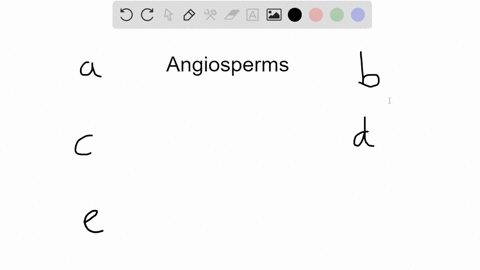 adaptations-that-correlate-with-the-adaptive-success-of-angiosperms-include-a-more-rapid-water-and-n