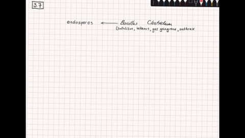 if-you-interfered-with-the-ability-of-a-bacillus-species-to-form-endospores-what-would-be-the-result