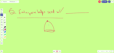 in-seeds-the-endosperm-helps-with-a-fertilization-c-nourishment-b-protection-d-dispersal