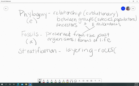 match-these-terms-suitably-______-phylogeny-_____-fossils-_____-stratification-_____-homologous-stru
