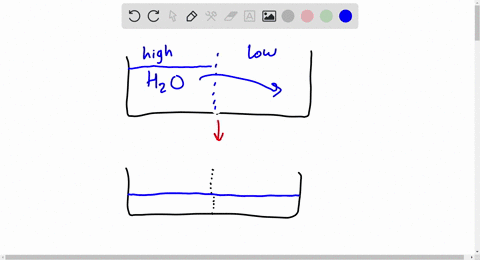 why-is-the-sodium-ion-at-the-highest-concentration-in-extracellular-fluid-a-sodium-diffuses-freely-t