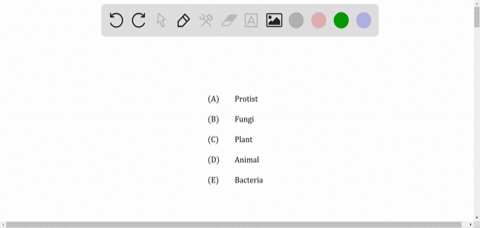a-unicellular-organism-is-discovered-that-has-the-following-characteristics-a-nucleus-a-cell-wall-an