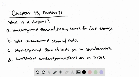 many-forms-of-modified-organs-exist-in-plants-what-is-a-rhizome-a-an-underground-stem-with-fleshy-le