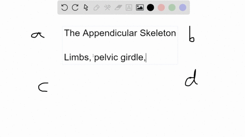which-bone-is-not-a-part-of-the-appendicular-skeleton-a-humerus-c-phalanges-b-ribs-d-clavicle