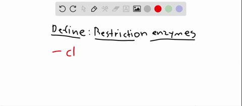restriction-enzymes-a-play-no-role-in-bacteria-b-cleave-dna-at-highly-specific-recognition-sequences
