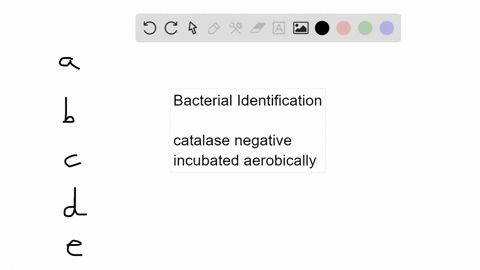 a-catalase-negative-colony-growing-on-a-plate-that-was-incubated-aerobically-could-be-which-of-these