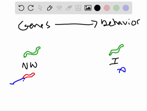 genes-affect-the-behavior-of-individuals-by-______-a-influencing-the-development-of-nervous-systems-