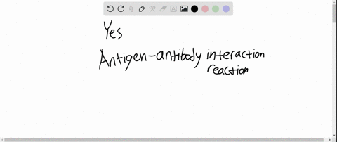 do-you-suppose-it-would-be-possible-to-raise-an-antibody-against-another-antibody-explain-your-answe