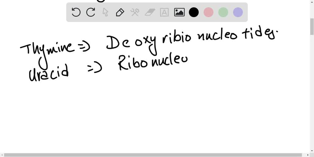 solved-the-purine-and-pyrimidine-rings-are-built-from-the-amino-acids