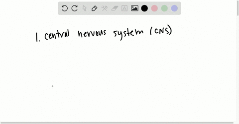 which-of-the-following-structures-is-not-part-of-the-central-nervous-system-a-the-brain-b-a-nerve-c-