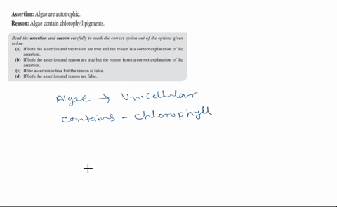 assertion-algae-are-autotrophic-reason-algae-contain-chlorophyll-pigments