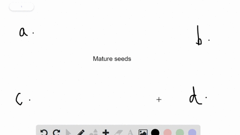 the-______-are-parts-of-a-mature-seed-a-stamen-and-carpel-b-embryo-food-reserves-and-seed-coat-c-sti