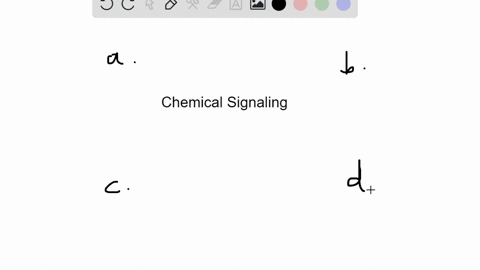 chemical-signaling-that-affects-neighboring-cells-is-called-__________-a-autocrine-b-paracrine-c-end