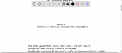 club-mosses-horsetails-and-ferns-are-______-plants-a-multicelled-aquatic-b-nonvascular-seed-c-seedle