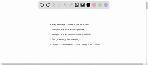 which-of-the-following-is-not-true-of-tropical-evergreen-forests-a-they-have-large-numbers-of-specie