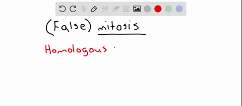 which-statement-about-mitosis-is-not-true-a-a-single-nucleus-gives-rise-to-two-identical-daughter-nu