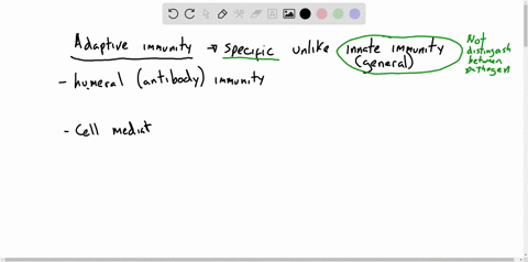 which-of-the-following-is-not-considered-to-be-part-of-an-adaptive-immune-response-a-phagocytic-cell
