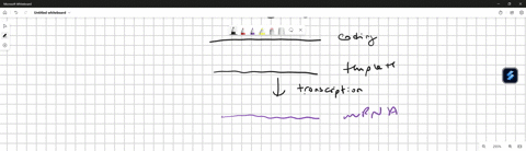 explain-how-complementary-base-pairing-is-involved-in-both-transcription-and-translation