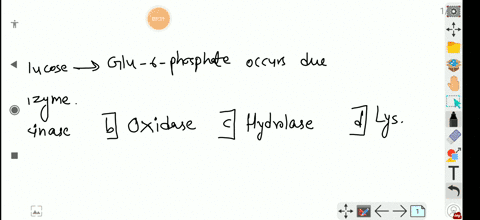 glucose-rightarrow-glu-6-phosphate-occurs-due-to-the-enzyme-a-hexokinase-b-oxidase-c-hydrolase-d-lys