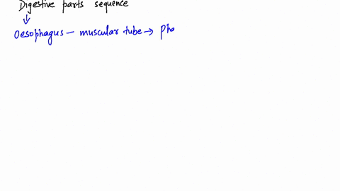 which-of-the-following-is-the-correct-sequence-a-pharynx-longrightarrow-stomach-longrightarrow-esoph