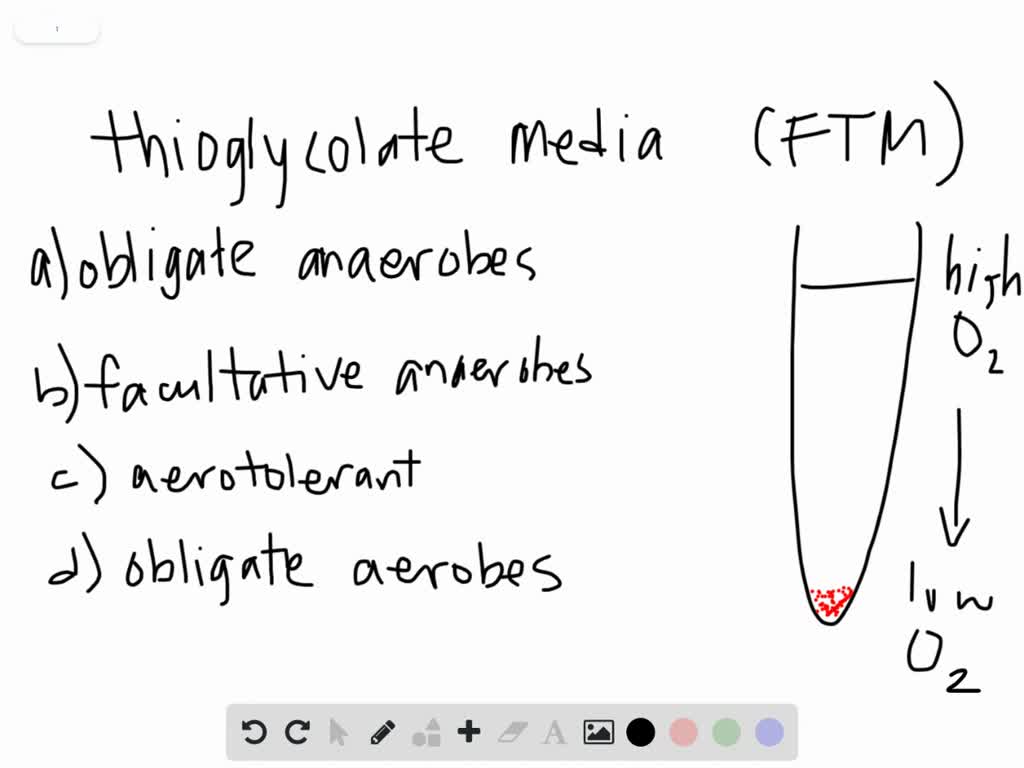 SOLVEDAn inoculated thioglycolate medium culture tube is clear