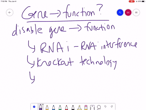 which-of-the-following-could-not-be-used-to-test-whether-expression-of-a-particular-gene-is-necess-2