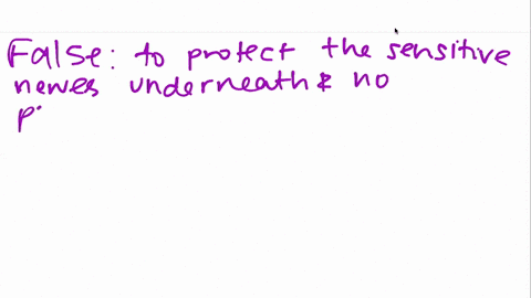 the-purpose-of-the-eardrum-is-to-protect-the-sensitive-nerves-underneath-it-it-serves-no-purpose-i-4
