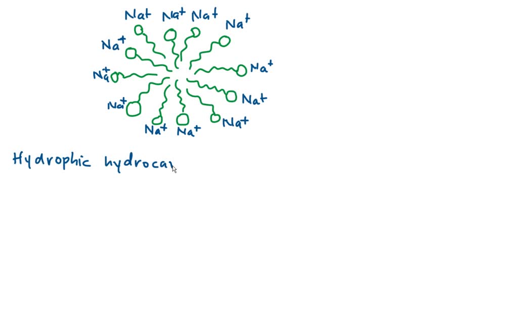 SOLVEDSoap molecules have a hydrophobic portion and yet they dissolve