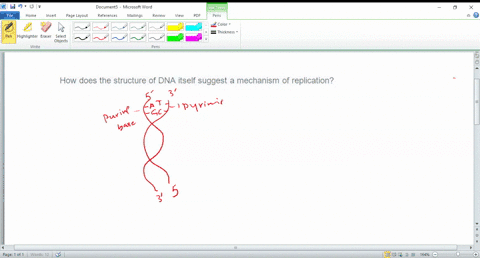 how-does-the-structure-of-dna-itself-suggest-a-mechanism-of-replication