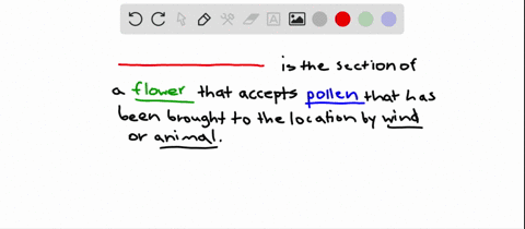 which-part-of-a-flower-receives-pollen-transported-by-the-wind-or-a-pollinating-animal-a-perianth-b-
