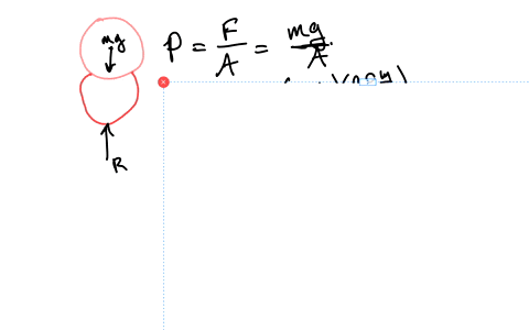 a-full-term-fetus-typically-has-a-mass-of-350-mathrmkg-a-what-pressure-does-the-weight-of-such-a-fet